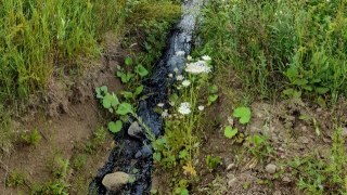 На Сколівщині стався витік нафтопродуктів неподалік сведловини Верхня Стинава
