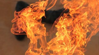 16 рятувальників гасили пожежу пиломатеріалів у Львові