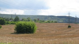 Понад 15 гектарів Торфовища Білогорща незаконно передали у приватну власність