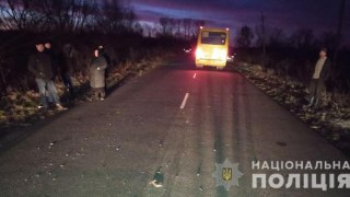 На Пустомитівщині маршрутка насмерть збила пішохода