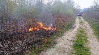 На Львівщині зафіксували дві пожежі сухостою
