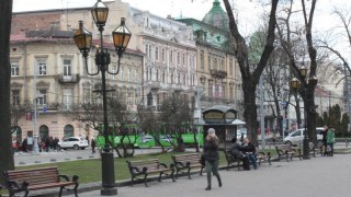 У Львові зрубають частину старих дерев на проспекті Свободи