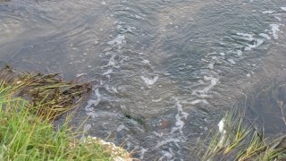 На Жовківщині у річці втопився місцевий мешканець