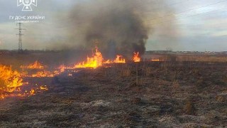 За добу на Львівщині зафіксували понад 30 пожеж сухостою