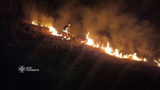За добу на Львівщині зафіксували сім пожеж сухостою