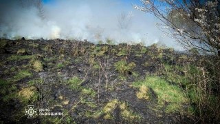 За добу на Львівщині зафіксували понад 20 пожеж сухостою