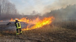 За добу на Львівщині виникло 2 пожежі сухостою