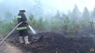 Внаслідок пожежі у Жовківському лісгоспі згоріло майже 3 га насаджень