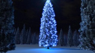 У парку «Левандівський» у неділю засяє новорічна ялинка