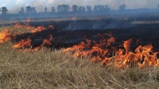 На Львівщині через спалювання стерні загинуло 4 осіб