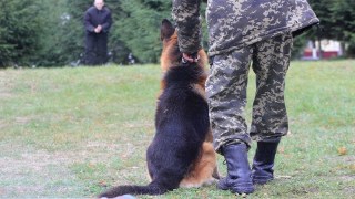Львівська поліція отримала землю для створення розплідника собак