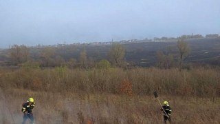 За добу на Львівщині зафіксували понад десять пожеж сухостою
