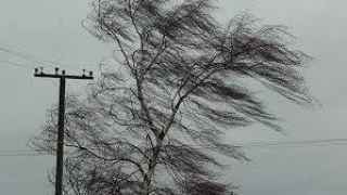 "Львівобленерго" попереджає про пошкодження ліній електропередачі та електрообладнання через сильні вітри