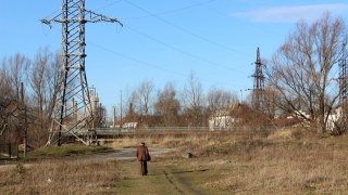 На Львівщині лісоруби додали роботи електрикам