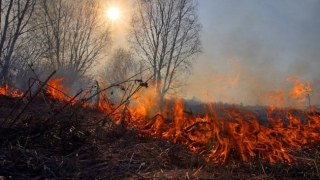 За добу на Львівщині зафіксували 14 пожеж сухостою