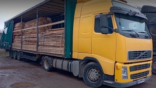 На Львівщині викрили схему вивезення за кордон деревини вартістю понад мільйон гривень