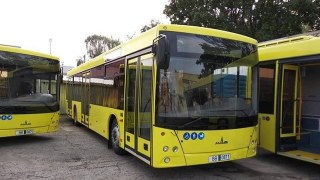 У Львові нові автобуси МАЗ запустили на два маршрути
