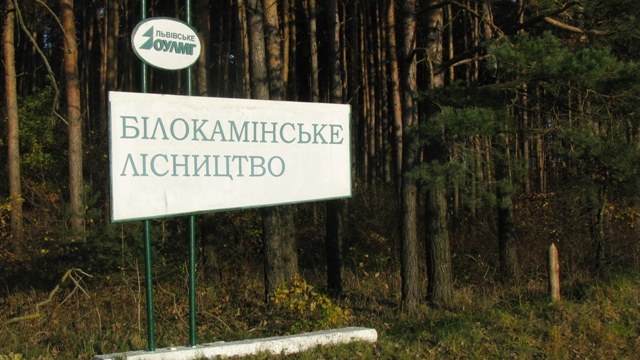 ліси Львівщини